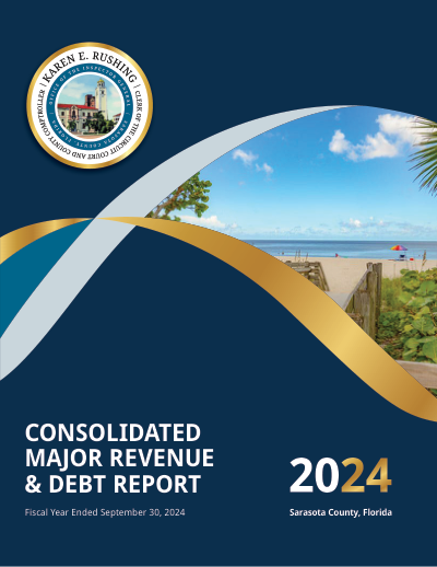 Revenue & Debt FY2024